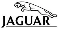 Zdjęcie do hasła: Jaguar